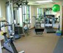 Physical Therapy